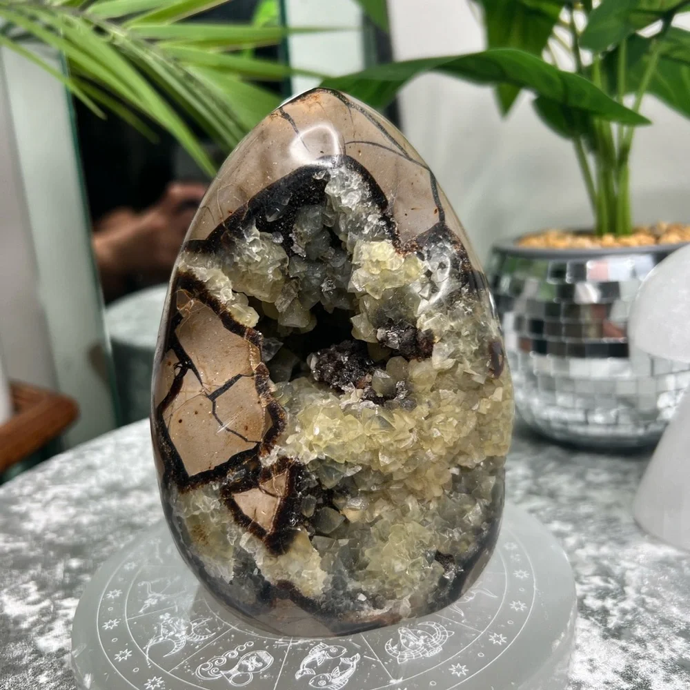 Septarian W Calcite Freeform- SF08 - Picture 1 of 4